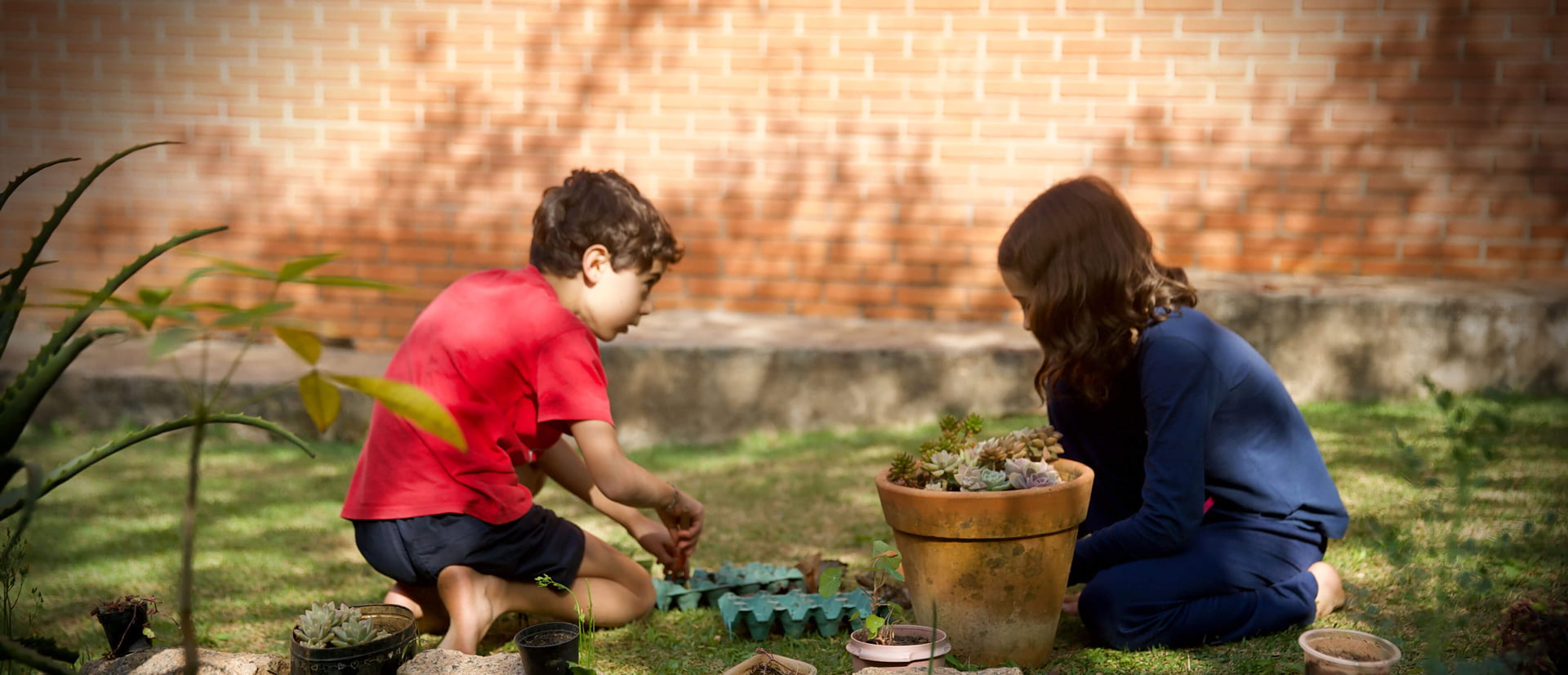 Duas crianças sentadas em um grande jardim, plantando em uma caixa de ovos, com vasos ao redor