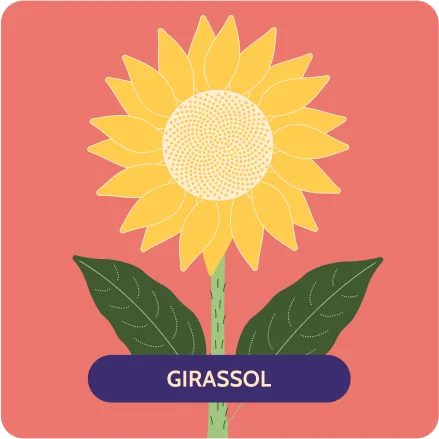 Abrir a página do Girassol